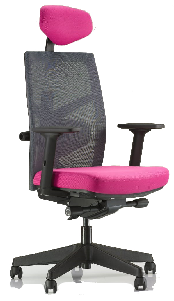 CH-700 Chair high